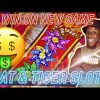 🔥 NEW GAME! BIG WIN ON CAT & TIGERS SLOTS!!!! #winstar #casino #gambling #bonus #fyp #slots