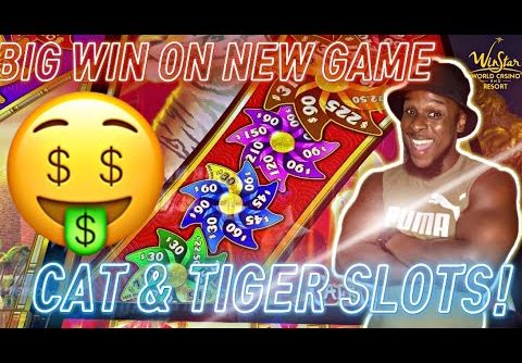 🔥 NEW GAME! BIG WIN ON CAT & TIGERS SLOTS!!!! #winstar #casino #gambling #bonus #fyp #slots