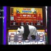 FUN FUN PANDA Big Win  VGT JB Elah Slot Channel Choctaw Casino Durant.  I Like This Type Win $$$ USA