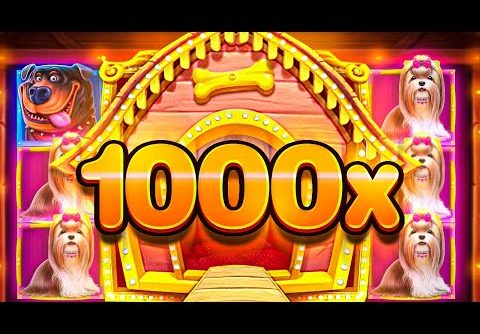 I WENT ALL-IN & GOT 1000X+ WIN On DOG HOUSE SLOT!!