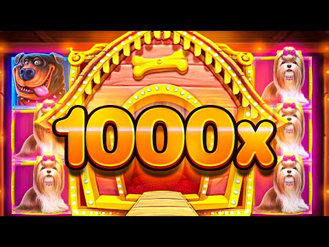 I WENT ALL-IN & GOT 1000X+ WIN On DOG HOUSE SLOT!!