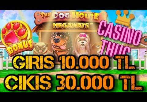 DOG HOUSE 🐕 DOG HOUSE MEGAWAYS BİG WİN 🤑#bigwin #slot #doghouse