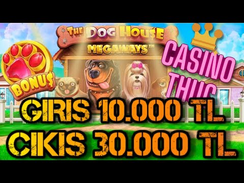 DOG HOUSE 🐕 DOG HOUSE MEGAWAYS BİG WİN 🤑#bigwin #slot #doghouse