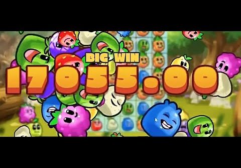 111ROSHTEIN RECORD WIN ON KING CARROT!! NEW GAME