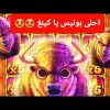 BUFFALO KING MEGAWAYS BIGWIN CASINO LANAYIZ أحلى بونيس يا KING