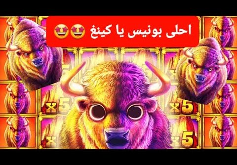 BUFFALO KING MEGAWAYS BIGWIN CASINO LANAYIZ أحلى بونيس يا KING