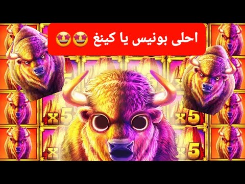 BUFFALO KING MEGAWAYS BIGWIN CASINO LANAYIZ أحلى بونيس يا KING