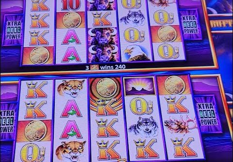 Double Bonus! Super Big Win on Buffalo Wonder 4 Tower