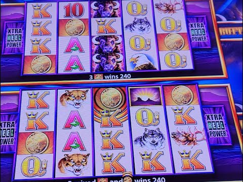 Double Bonus! Super Big Win on Buffalo Wonder 4 Tower