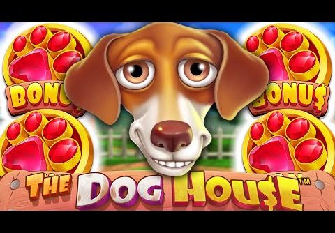 THE DOG HOUSE 🐶 MEGAWAYS SLOT BIG BONUS BUYS 🔥 4 SACTTERS‼️