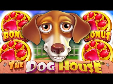 THE DOG HOUSE 🐶 MEGAWAYS SLOT BIG BONUS BUYS 🔥 4 SACTTERS‼️