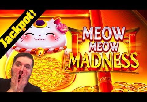 BIGGEST WIN ON YOUTUBE! 🙀🙀🙀JACKPOT HANDPAY! 🙀🙀🙀 MEOW MEOW MADNESS SLOT MACHINE!