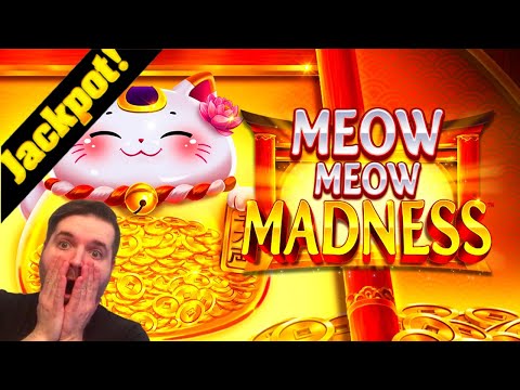 BIGGEST WIN ON YOUTUBE! 🙀🙀🙀JACKPOT HANDPAY! 🙀🙀🙀 MEOW MEOW MADNESS SLOT MACHINE!