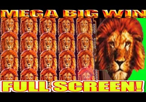 **FULL SCREEN!** MEGA HUGE BONUS WIN! King of Africa WMS Slot Machine Wins