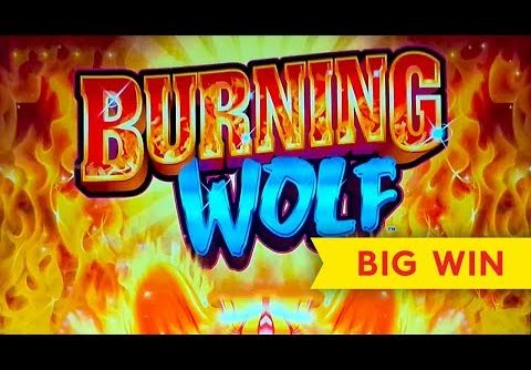 Burning Wolf Slot – BIG WIN BONUS!