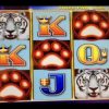 ** BIG WIN ** White Tiger ** Bonus ** Line Hit ** SLOT LOVER **