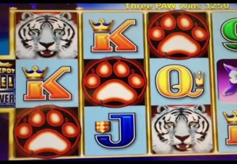 ** BIG WIN ** White Tiger ** Bonus ** Line Hit ** SLOT LOVER **