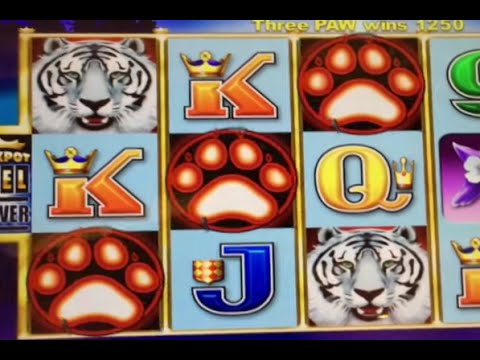 ** BIG WIN ** White Tiger ** Bonus ** Line Hit ** SLOT LOVER **