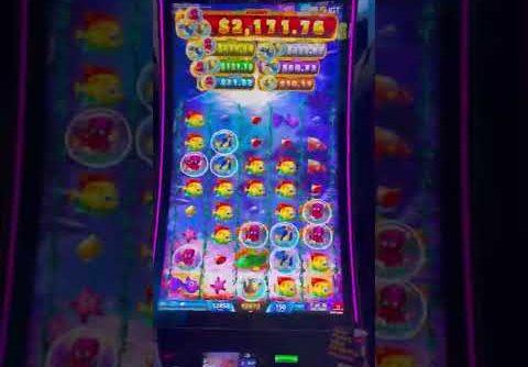 Big Ocean Jackpots BIG WIN BONUS! #shorts