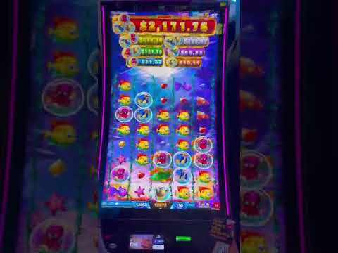 Big Ocean Jackpots BIG WIN BONUS! #shorts