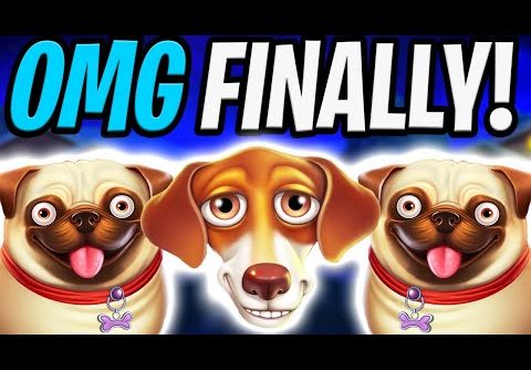 THE DOG HOUSE 🐶 SLOT PAID MEGA BIG WINS OMG‼️ *** MAX BET ***