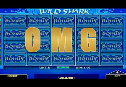 WILD SHARK CASINO SLOTS / BONUS HUNTER / OMG 😱 MAX BONUS = MAX WIN