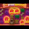 SUPER RARE 5 SCATTER BONUS On DOG HOUSE MEGAWAYS?! …