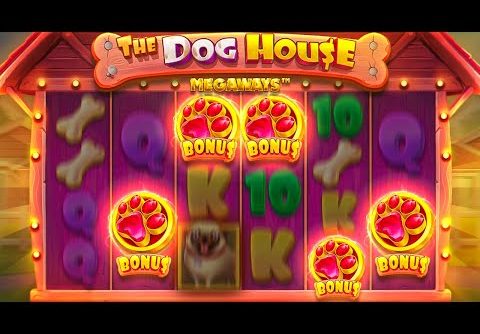 SUPER RARE 5 SCATTER BONUS On DOG HOUSE MEGAWAYS?! …