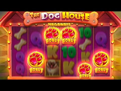 SUPER RARE 5 SCATTER BONUS On DOG HOUSE MEGAWAYS?! …