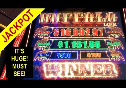 MY BIGGEST WIN EVER on BUFFALO LINK SLOT | MASSIVE JACKPOT HANDPAY | Las Vegas 2022
