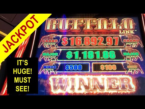 MY BIGGEST WIN EVER on BUFFALO LINK SLOT | MASSIVE JACKPOT HANDPAY | Las Vegas 2022