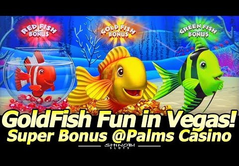 100x BIG WIN Bonus! Gold Fish Feeding Time Treasure Slot, Super Bonus @Palms Casino in Las Vegas!