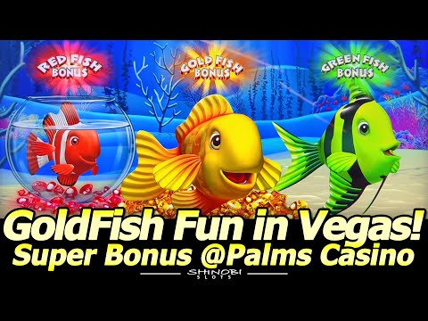 100x BIG WIN Bonus! Gold Fish Feeding Time Treasure Slot, Super Bonus @Palms Casino in Las Vegas!