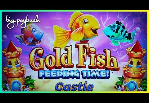 Ready for a BIG Win RETRIGGER? It’s the NEW Gold Fish Slot!