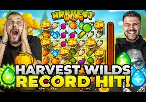 WE GOT A WORLD RECORD SLOT WIN ON HARVEST WILDS!!