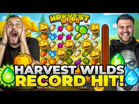 WE GOT A WORLD RECORD SLOT WIN ON HARVEST WILDS!!