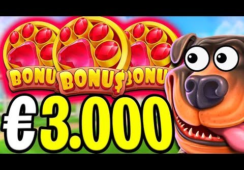 THE DOG HOUSE MEGAWAYS 🐶 SLOT EPIC €3.000 BONUS BUYS‼️