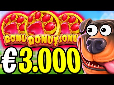 THE DOG HOUSE MEGAWAYS 🐶 SLOT EPIC €3.000 BONUS BUYS‼️