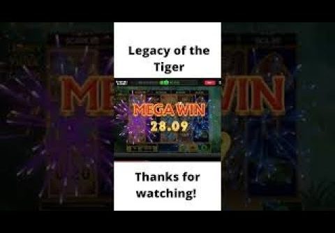 Legacy of the Tiger (Chumba Casino) MEGA WIN #shorts