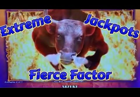 BIG WIN ON EXTREME JACKPOT FIERCE FACTOR SLOT MACHINE BONUS #shorts