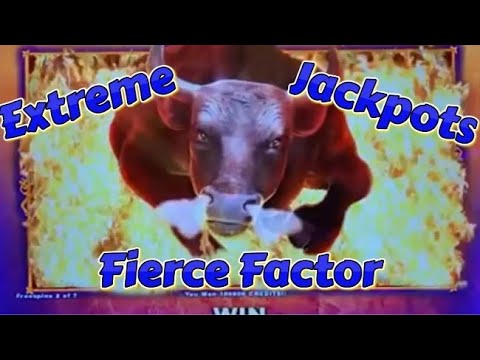 BIG WIN ON EXTREME JACKPOT FIERCE FACTOR SLOT MACHINE BONUS #shorts