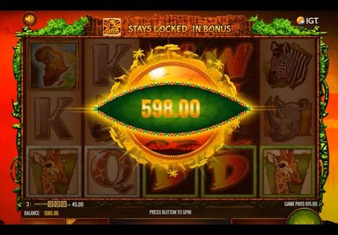 Super Big Win in The Wild Life Slot!