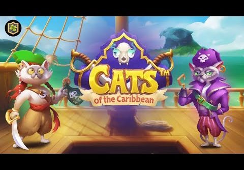 х315 Cats of the Caribbean 🔥 NEW Online Slot EPIC BIG WIN 🔥 (Snowborn Games)