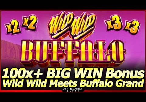 Wild Wild Buffalo Slot Machine – NEW Slot!  100X+ BIG WIN Redemption Bonus thanks to Konami, LOL!