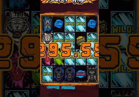 born wild slot biggest win