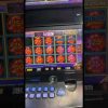 Slots big win