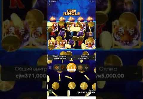 Boongo: Slot TIGER JUNGLE Mega Win
