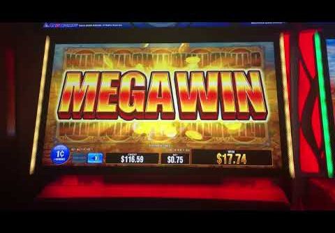 Mega Win with Wilds in New Buffalo Casino Slot !