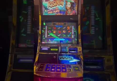 Mojo Rising Super Rare Slot BIG WIN!!! 🤑🤑🤑🤑🤑