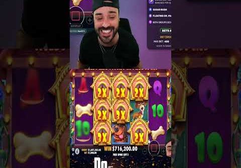 Roshtein Mega Win on Dog House Slot